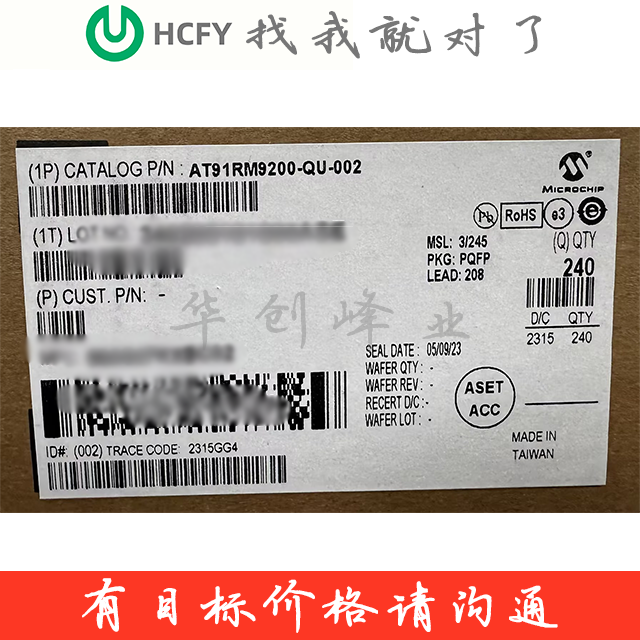 AT91RM9200-QU-002